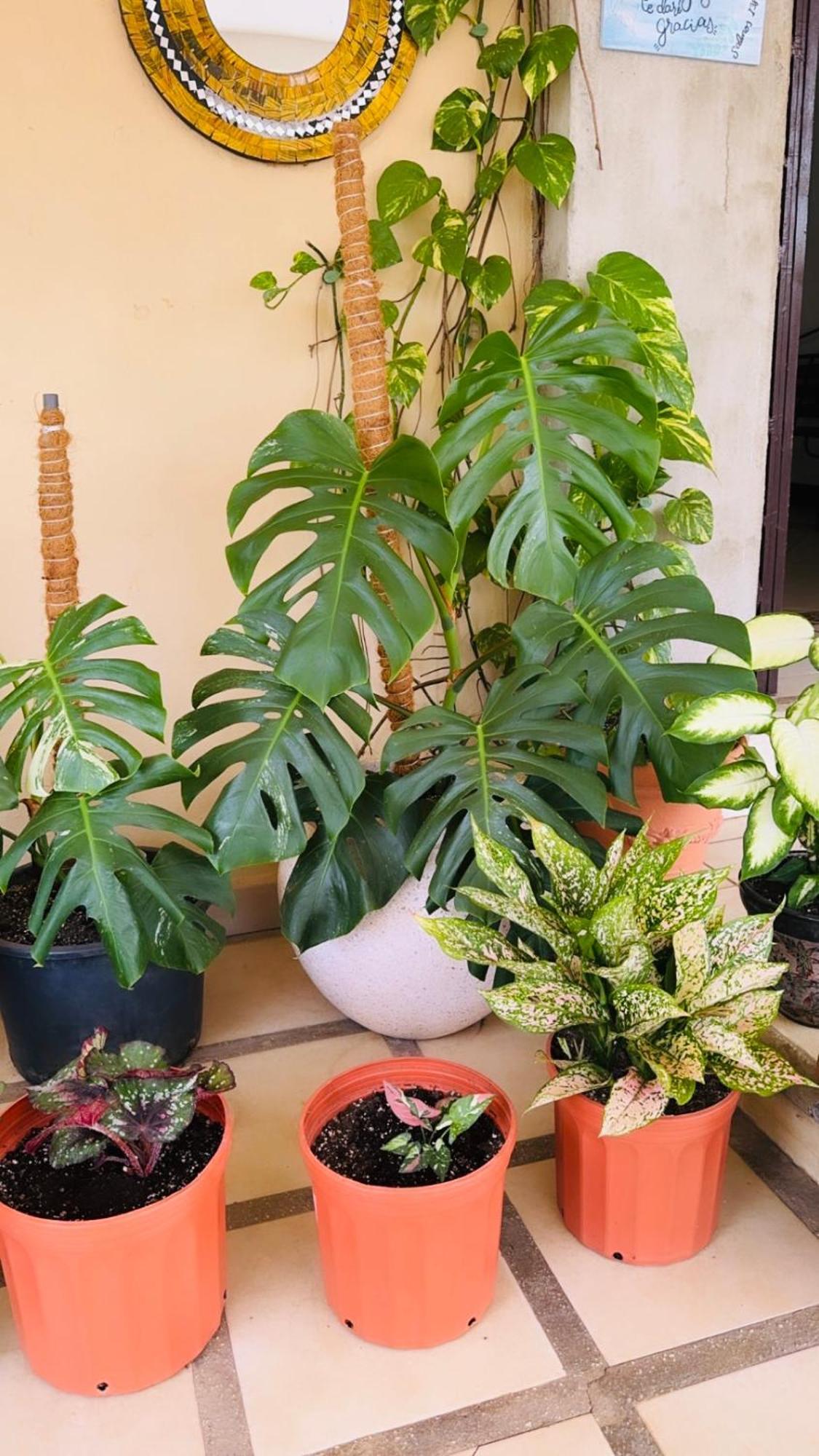 Ester'S Place Escazú Екстериор снимка