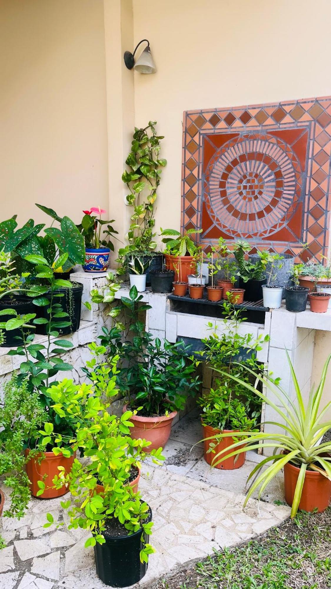 Ester'S Place Escazú Екстериор снимка