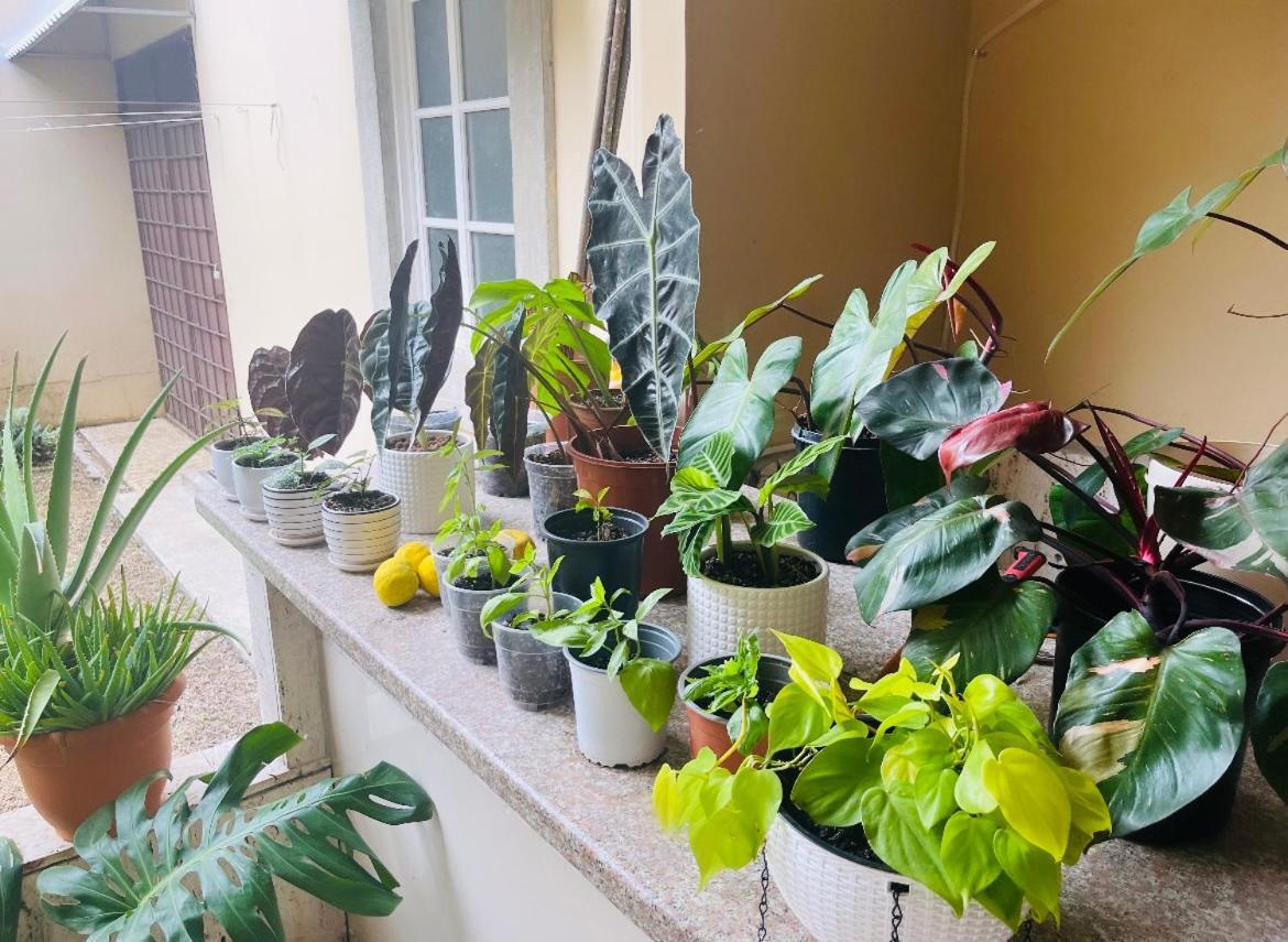 Ester'S Place Escazú Екстериор снимка