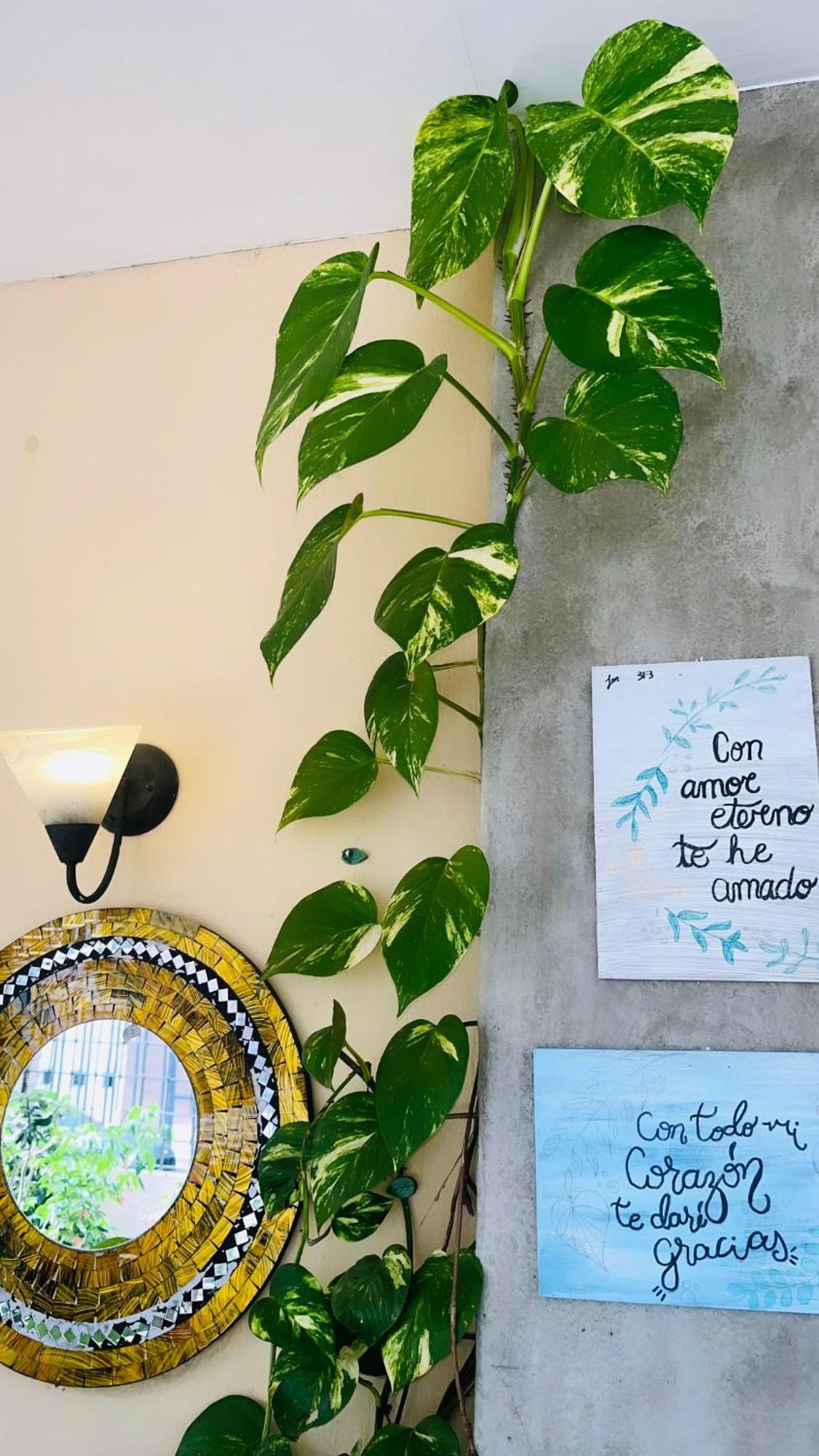 Ester'S Place Escazú Екстериор снимка