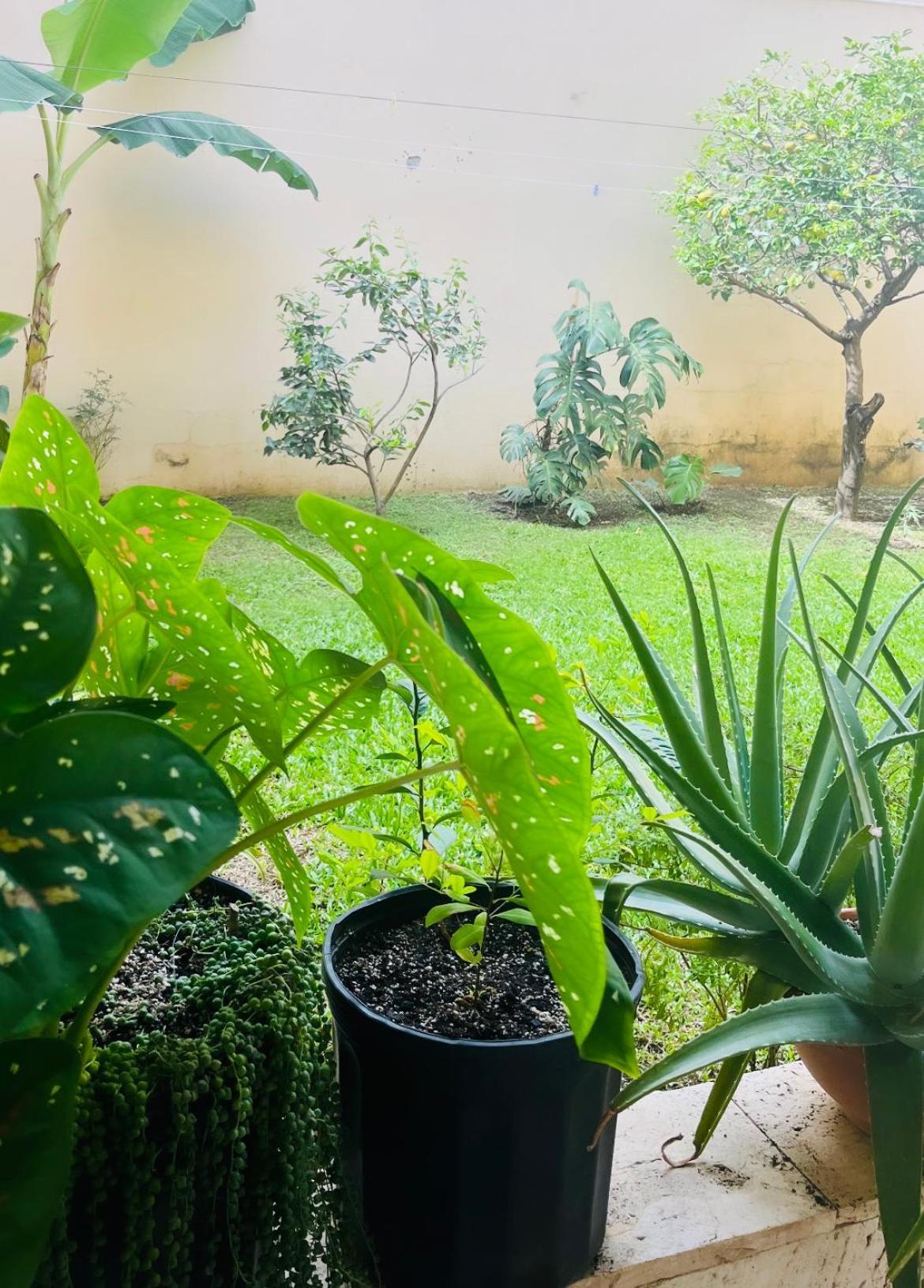 Ester'S Place Escazú Екстериор снимка