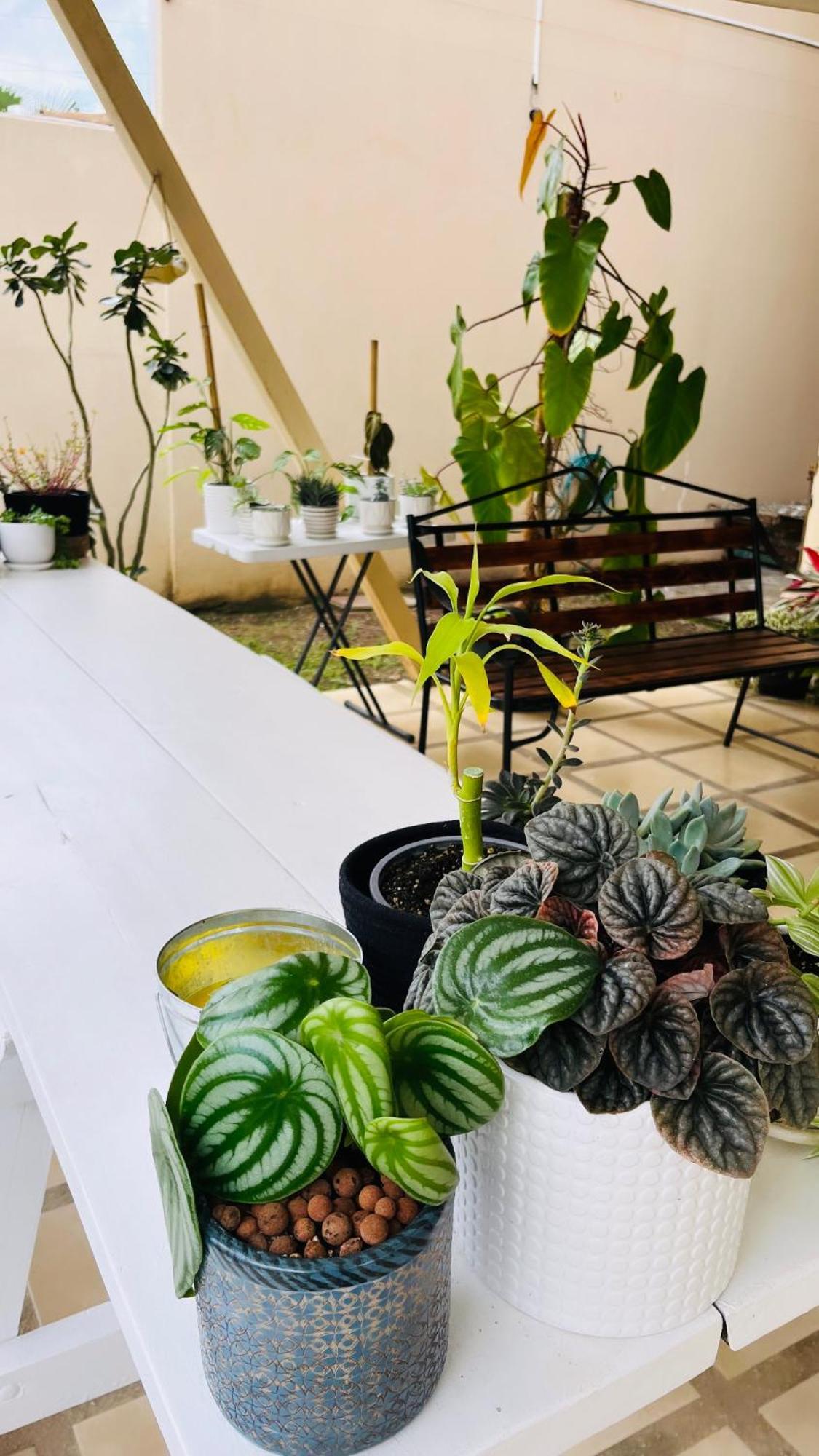 Ester'S Place Escazú Екстериор снимка