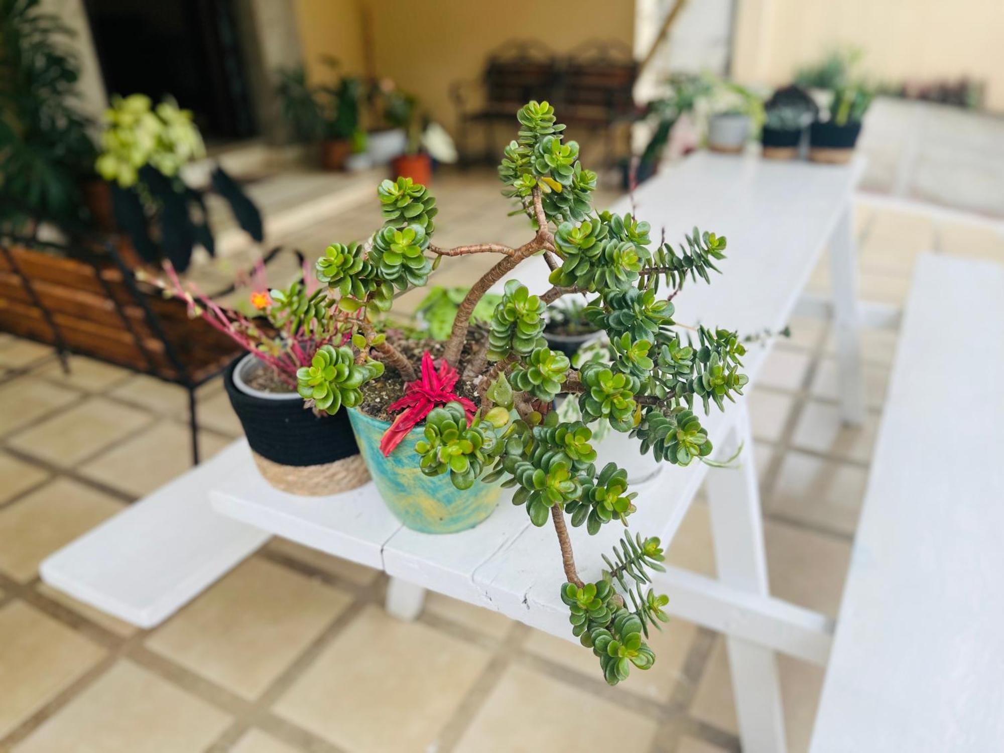 Ester'S Place Escazú Екстериор снимка
