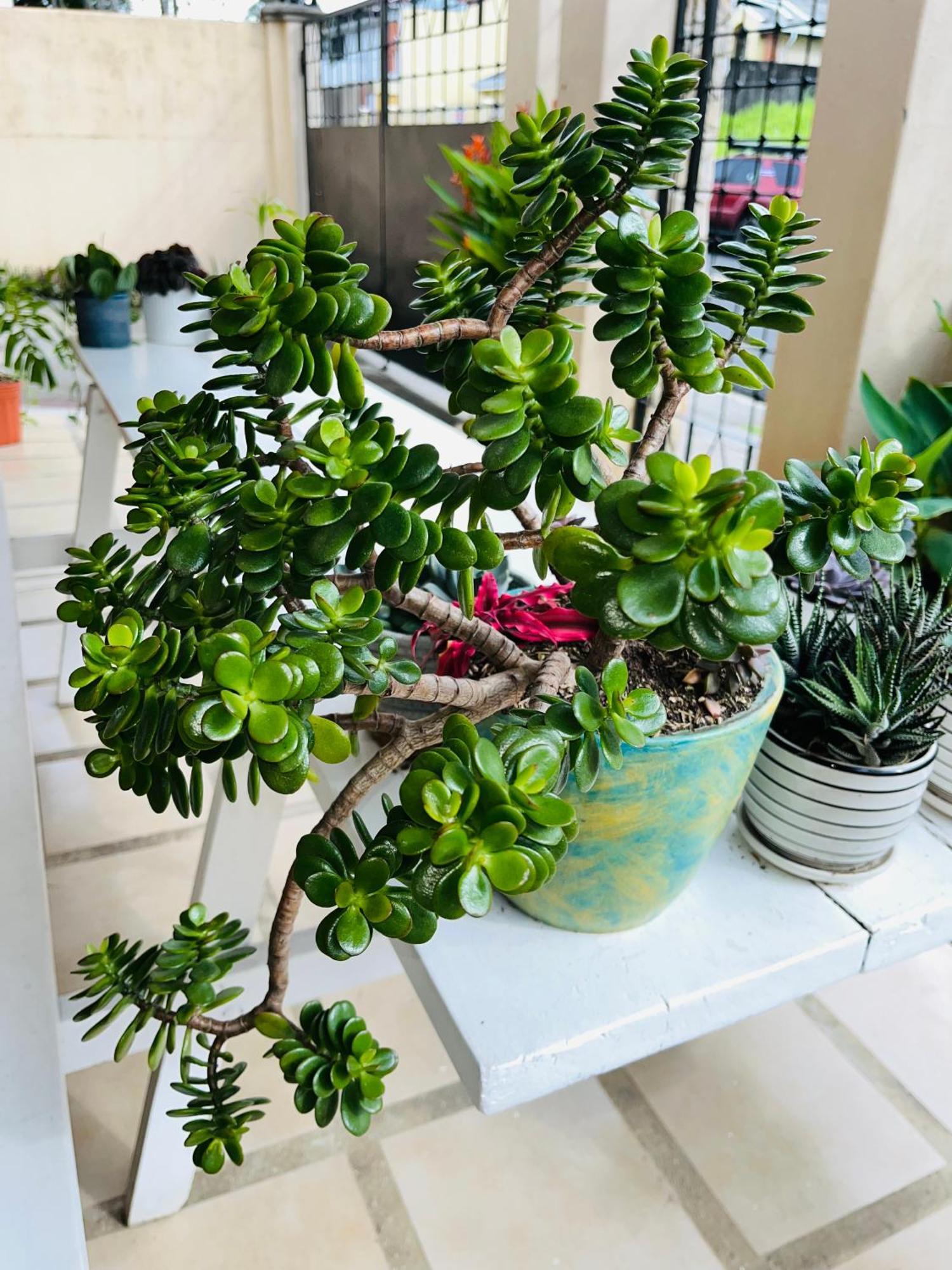 Ester'S Place Escazú Екстериор снимка