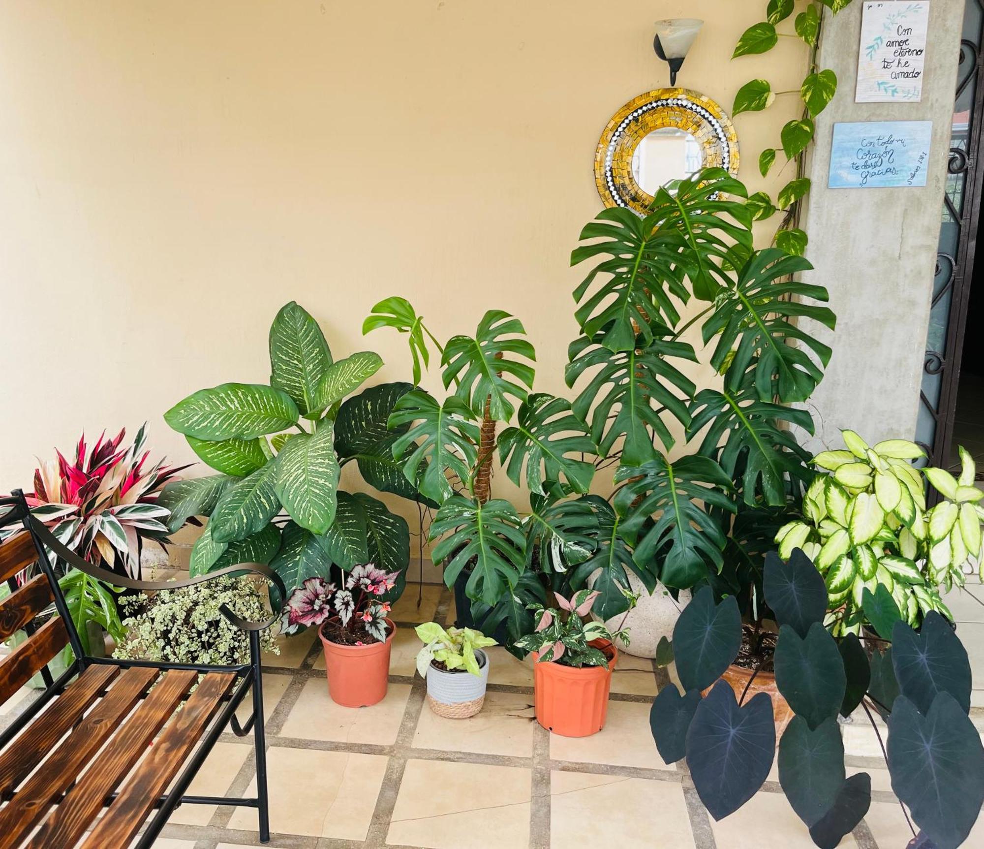 Ester'S Place Escazú Екстериор снимка